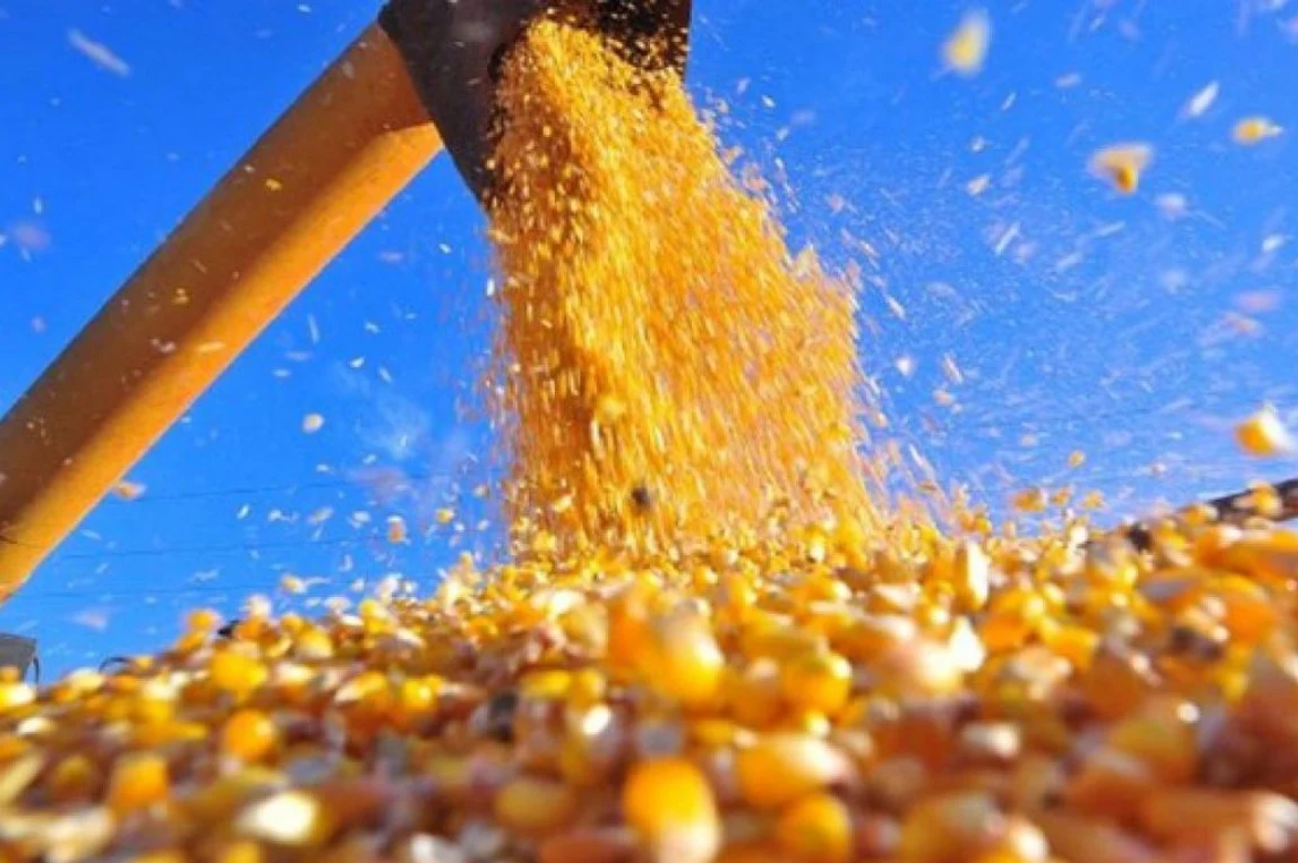 Plano Safra 2026/27 deve ser anunciado hoje dia 30 de junho.